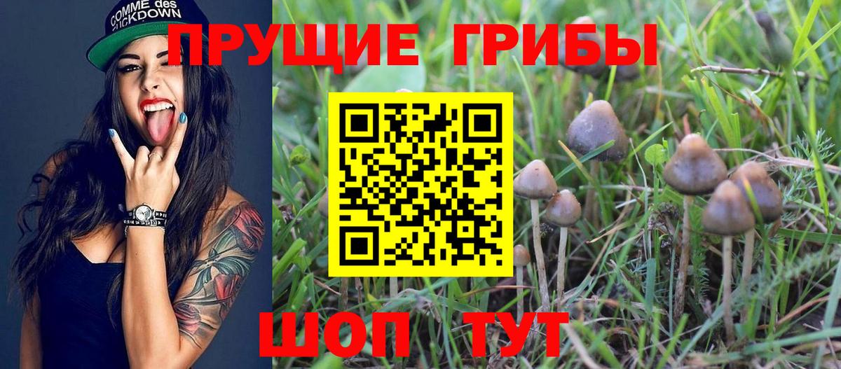 Галлюциногенные грибы MAGIC MUSHROOMS Электрогорск