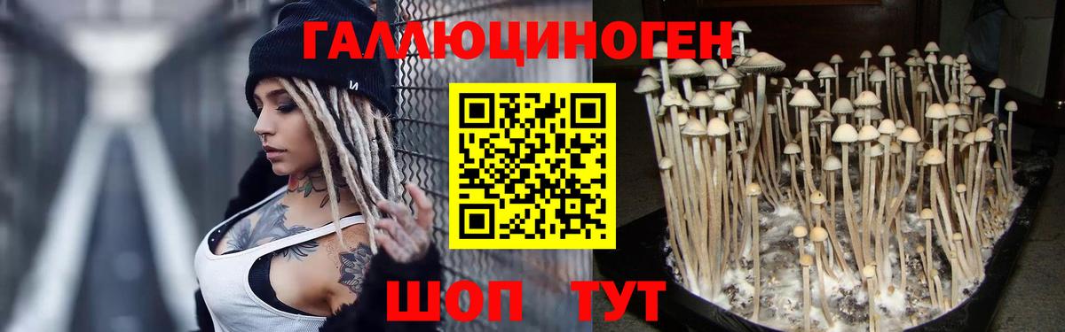 Марихуана  Меф кристаллы  Вход с VPN  COCAIN  Электрогорск  Цена  Гашиш 